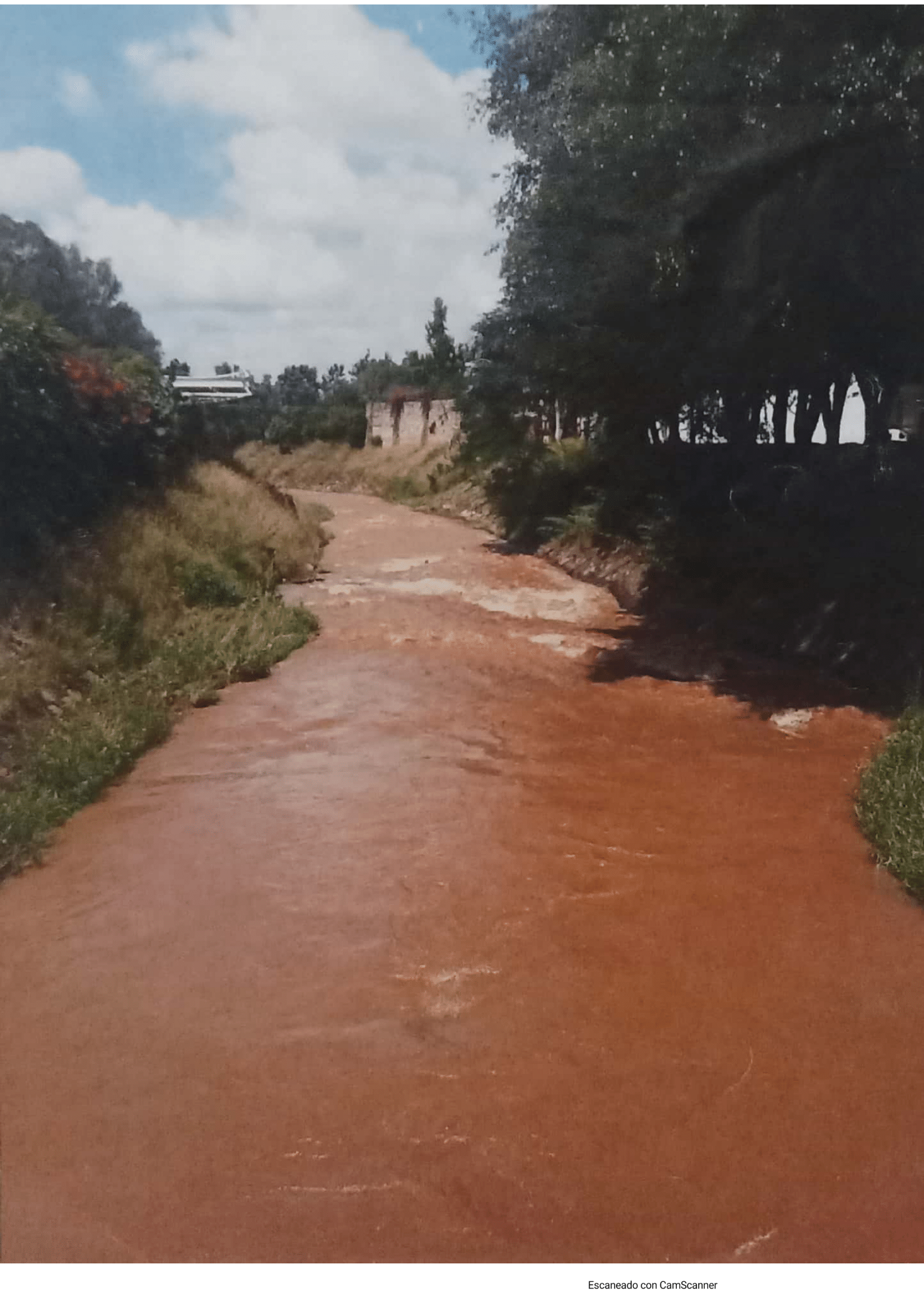 Plan Maestro para el Manejo Integral de la Microcuenca del Cauce del Río Chiquito