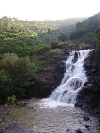 Proyecto Parque Temático Los Filtros Viejos